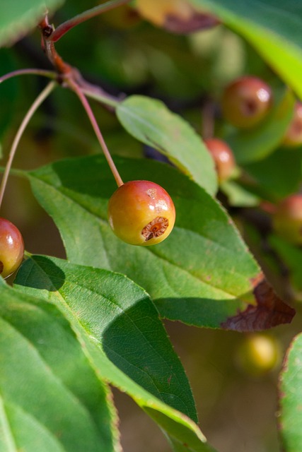 再度掀起波 再度掀起波
