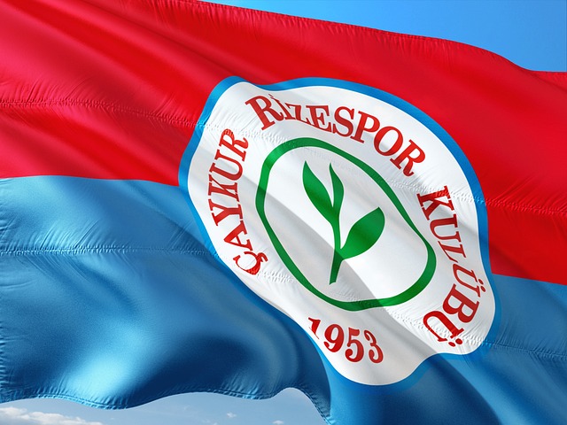 稳定转向逐 稳定转向逐