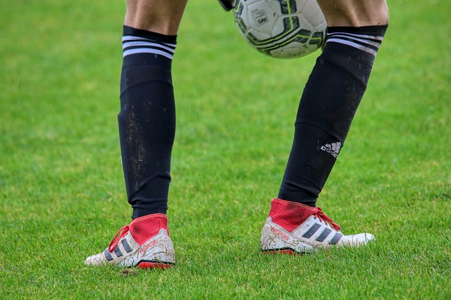 星表现的期 星表现的期