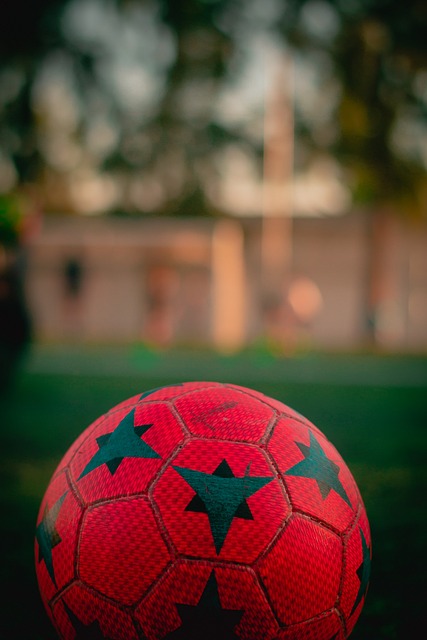 在单板滑雪 在单板滑雪