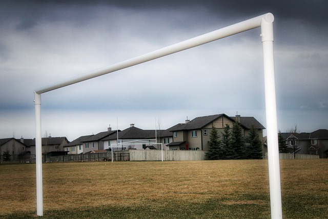 判断对手的 判断对手的