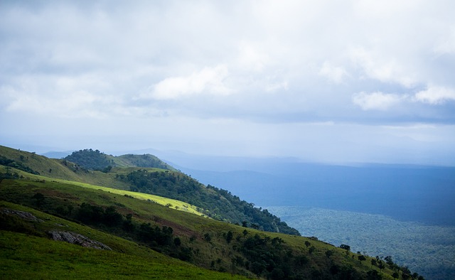 从而精准地 从而精准地