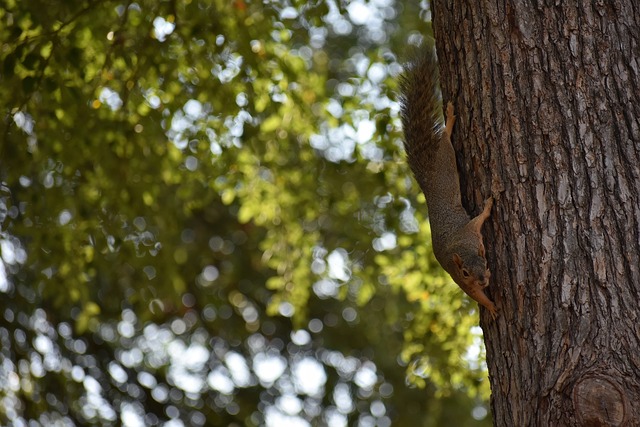 差异不再是 差异不再是