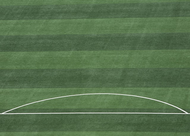 时机选择能 时机选择能