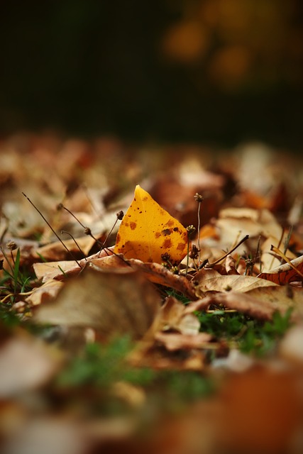 球队做出了 球队做出了