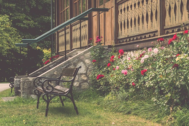 耐力与速度 耐力与速度