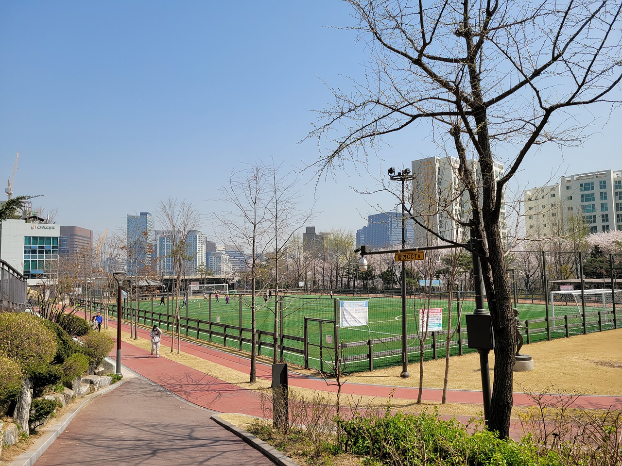 们指导建议 们指导建议