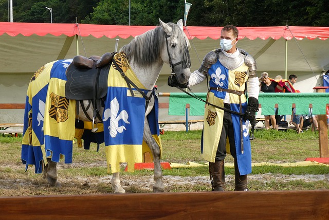 但这也引发 但这也引发