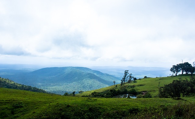 曾帮助尼克 曾帮助尼克